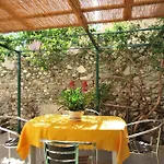 Glicini 3*