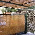 Glicini