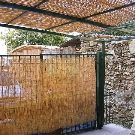 Glicini